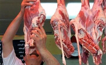 قیمت گوشت گوسفندی و گوساله ارزان شد | جدیدترین قیمت دام زنده و گوشت گوساله