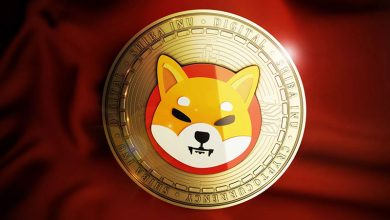 میلیاردر شیبا اینو استراتژی سرمایه‌گذاری خود را فاش کرد!