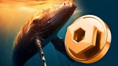 نهنگ‌ها دوباره در کمین چین لینک؛ رالی صعودی LINK از سر گرفته می‌شود؟