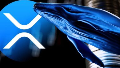 هجوم نهنگها برای خرید بیشتر ریپل! قیمت XRP دوباره افزایش مییابد؟