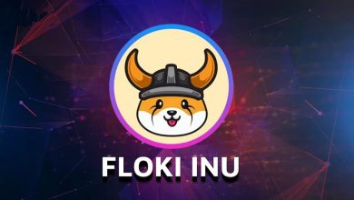 پامپ قیمت فلوکی در آستانه یک اطلاعیه مهم! چه اتفاقاتی در راه است؟