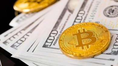 پرده‌برداری از استراتژی های پولساز در بازار ارزهای دیجیتال