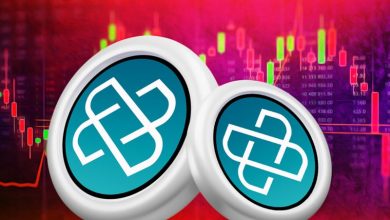 چرا رالی صعودی لوم نتورک به یکباره متوقف شد؟