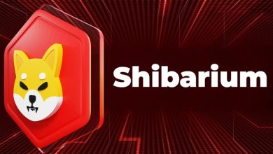 چرا شیباریوم دیگر جذابیتی برای سرمایهگذاران ندارد؟