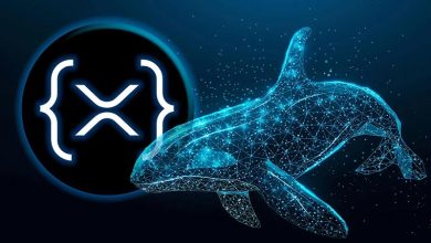 کوسه‌ها و نهنگ‌های ریپل همچنان به انباشت XRP ادامه می‌دهند!