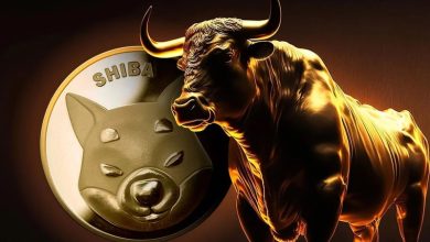 گاوها به بازار شیبا اینو بازگشتند! آیا SHIB از رکود خارج خواهد شد؟