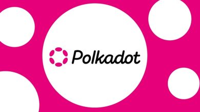 گزارشی که کاربران پولکادات را نگران کرد! آیا جای امیدواری نیست؟