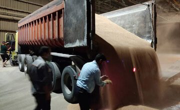 گندمکاران نگرانند؛ نرخ خرید تضمینی گندم چقدر است؟ / ۸۰ روز از مهلت قانونی گذشت…