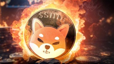 ارسال ۶۵۷ میلیون شیبا به کوره‌های توکن‌سوزی! قیمت SHIB مقاومت خود را می‌شکند؟