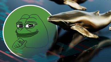 انباشت بیش از ۳ تریلیون پپه توسط نهنگ‌ها؛ شانس PEPE برای صعود بالاست!