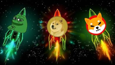 با وجود سقوط بازار کریپتو، بیشتر دارندگان میم‌کوین‌ها هنوز در سود هستند!