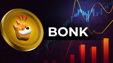 بانک، پیشتاز در بین ۱۰ میم‌کوین برتر بازار‍! درخشش تاریخی BONK تکرار خواهد شد؟