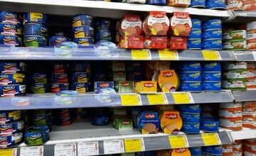 تن ماهی گران نمی‌شود / دلایل افزایش تولید تن مرغ چیست؟