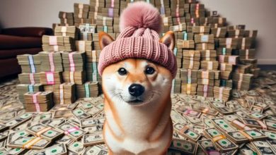 توصیه تحلیلگر معروف به خرید سگ کلاهدار! رالی صعودی WIF از سر گرفته می‌شود؟