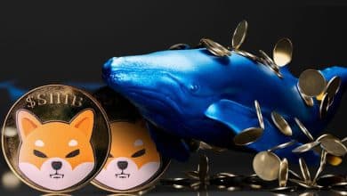 جابهجایی ۱۰۰ میلیارد شیبا اینو در بازار! نهنگها قصد فروش دارند؟