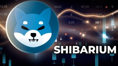 رشد حیرتانگیز تعداد تراکنشهای شیباریوم! قیمت SHIB رالی دیگری را آغاز میکند؟