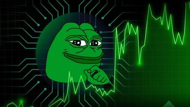 رشد ۱۰۰۰ درصدی پپه در یک سال گذشته! فرصت کسب سود از PEPE هنوز وجود دارد؟