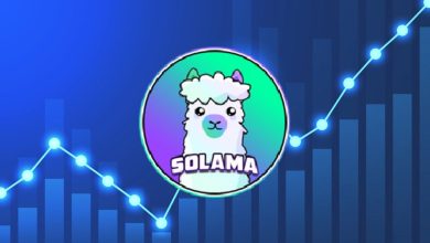 رشد ۶۵۰۰ درصدی سولاما از ژانویه تا کنون! علت محبوبیت لامای سولانا چیست؟