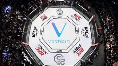 رمزارز وی‌چین به قفس مبارزات UFC می‌رود!