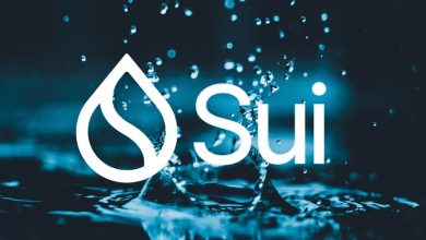 صعود سویی همزمان با ریزش بیت کوین! علت رشد قیمت SUI چیست؟