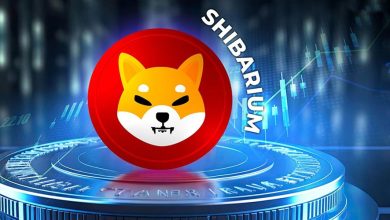 صعود قیمت SHIB با وجود رکود بازار؛ شیباریوم برای یک هاردفورک بزرگ آماده می‌شود!