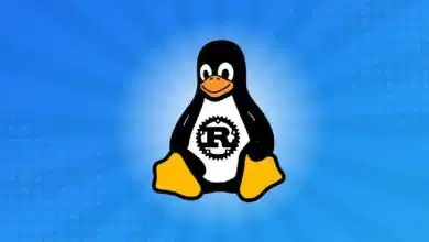 عرضه یکی از محبوب‌ترین زبان‌های برنامه نویسی جهان برای لینوکس