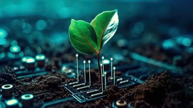 فناوری پایدار: دروغی بزرگ!