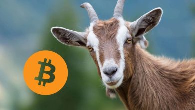 ماجرای عجیب مردی که نام‌های رمزارزی روی بزهایش می‌گذارد! در توییتر چه خبر است؟