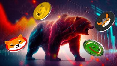 میم‌کوین‌ها هم از ریزش بازار کریپتو در امان نماندند! وضعیت برترین‌ها چگونه است؟