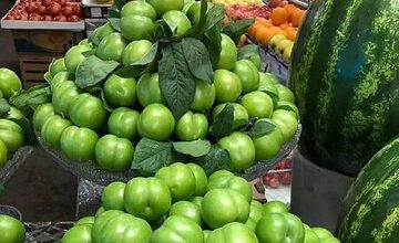 نرخ مصوب انواع میوه اعلام شد/ قیمت گوجه سبز سر به فلک کشیده!