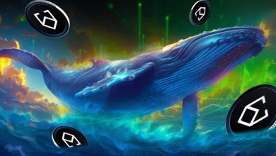 نهنگ‌ها در حال انباشت و استیکینگ اتنا! قیمت ENA دوباره صعودی خواهد شد؟