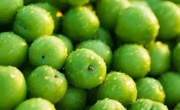 نوبرانه میلیونی به بازار آمد!