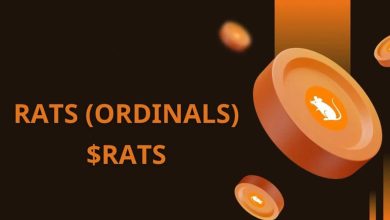 هاوینگ بیت کوین قیمت میم‌کوین‌ها را هم بالا برد؛ از صعود رتس جا نمانید!