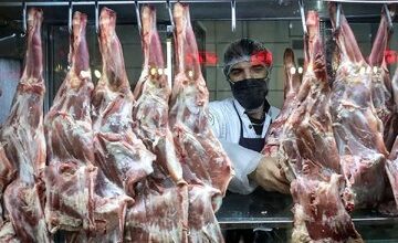 وزارت کشاورزی هر گونه افزایش قیمت گوشت را تکذیب کرد؛ قیمت شقه گوسفندی باورنکردنی شد