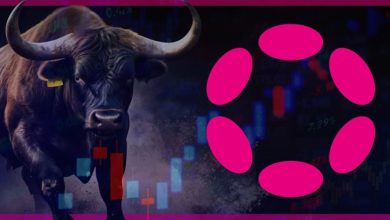 پیشبینی رشد انفجاری پولکادات توسط تحلیلگران مطرح بازار! هدف قیمت DOT کجاست؟