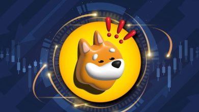 پیشنهاد سوزاندن ۲۸۰ میلیارد توکن BONK تصویب شد! منتظر صعود بیشتر قیمت باشیم؟