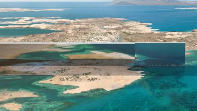 کمک 500 میلیارد دلاری چین به پروژه شهر هوشمند نئوم