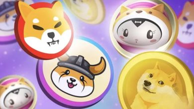 ۳ میم کوین محبوب در بازار نزولی اخیر!