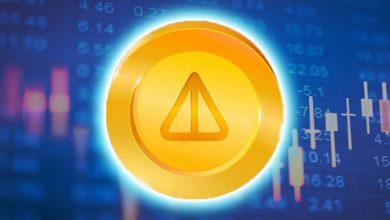 از توکن‌سوزی تا ادغام با ولت تلگرام، خبرهای خوبی برای نات‌کوین به گوش می‌رسد!