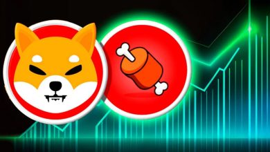 افزایش ۲۶۷ درصدی کارمزدهای شیباریوم؛ مهر تاییدی بر احتمال صعود قیمت SHIB؟!