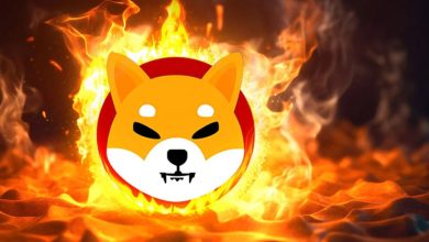 افزایش ۵۸۰ درصدی نرخ شیباسوزی؛ روند قیمت SHIB بهبود می‌یابد؟