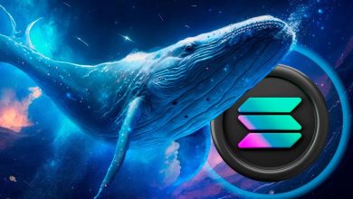 انباشت سنگین سولانا توسط نهنگ‌ها؛ نشانه‌ای برای پایان روند نزولی قیمت SOL؟