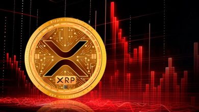 بررسی چشم‌انداز حرکت ریپل در کوتاه‌مدت؛ چرا احتمال ریزش قیمت بالا است؟