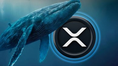 بی‌توجهی سرمایه‌گذاران به دعوای حقوقی ریپل؛ نهنگ‌ها همچنان میلیونی XRP می‌خرند!