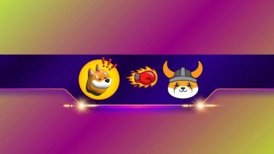 تغییر در رده‌بندی بازار میم‌کوین‌ها؛ بانک، فلوکی را شکست داد!