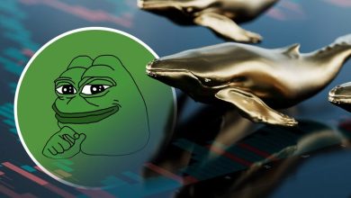 جنب و جوش دوباره نهنگ‌های پپه! قیمت PEPE پس از رکوردشکنی به کدام سمت می‌رود؟