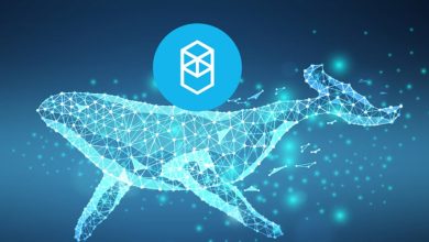 خرید میلیون‌ها فانتوم توسط یک نهنگ! چه آینده‌ای در انتظار قیمت FTM است؟