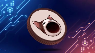 رشد ۴۰ درصدی پاپکت سولانا در یک روز؛ قیمت POPCAT در آستانه رکوردشکنی است!