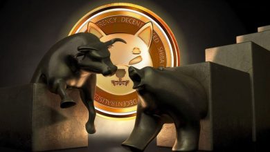 شیبا در دوراهی سقوط و صعود! آیا سطوح حمایتی مانع از ریزش بیشتر خواهند شد؟