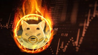 شیبا سوخت ولی ریخت! آیا توکن‌سوزی تأثیری بر قیمت دارد؟